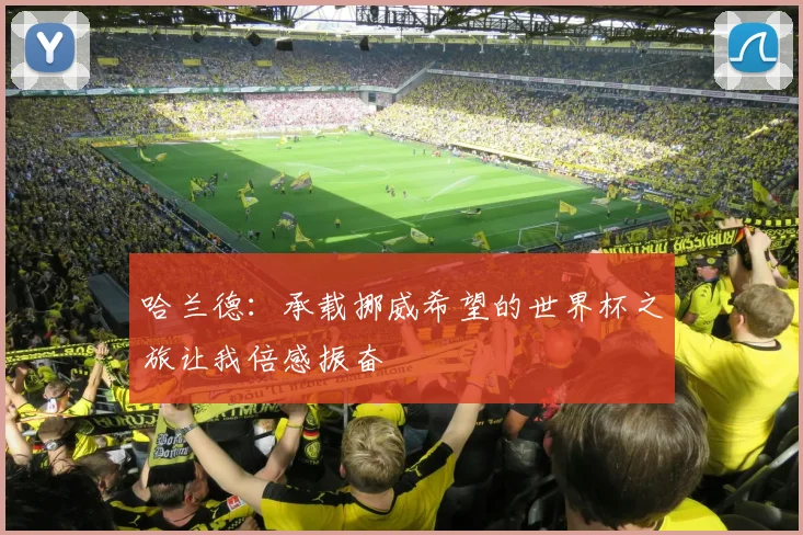 哈兰德：承载挪威希望的世界杯之旅让我倍感振奋